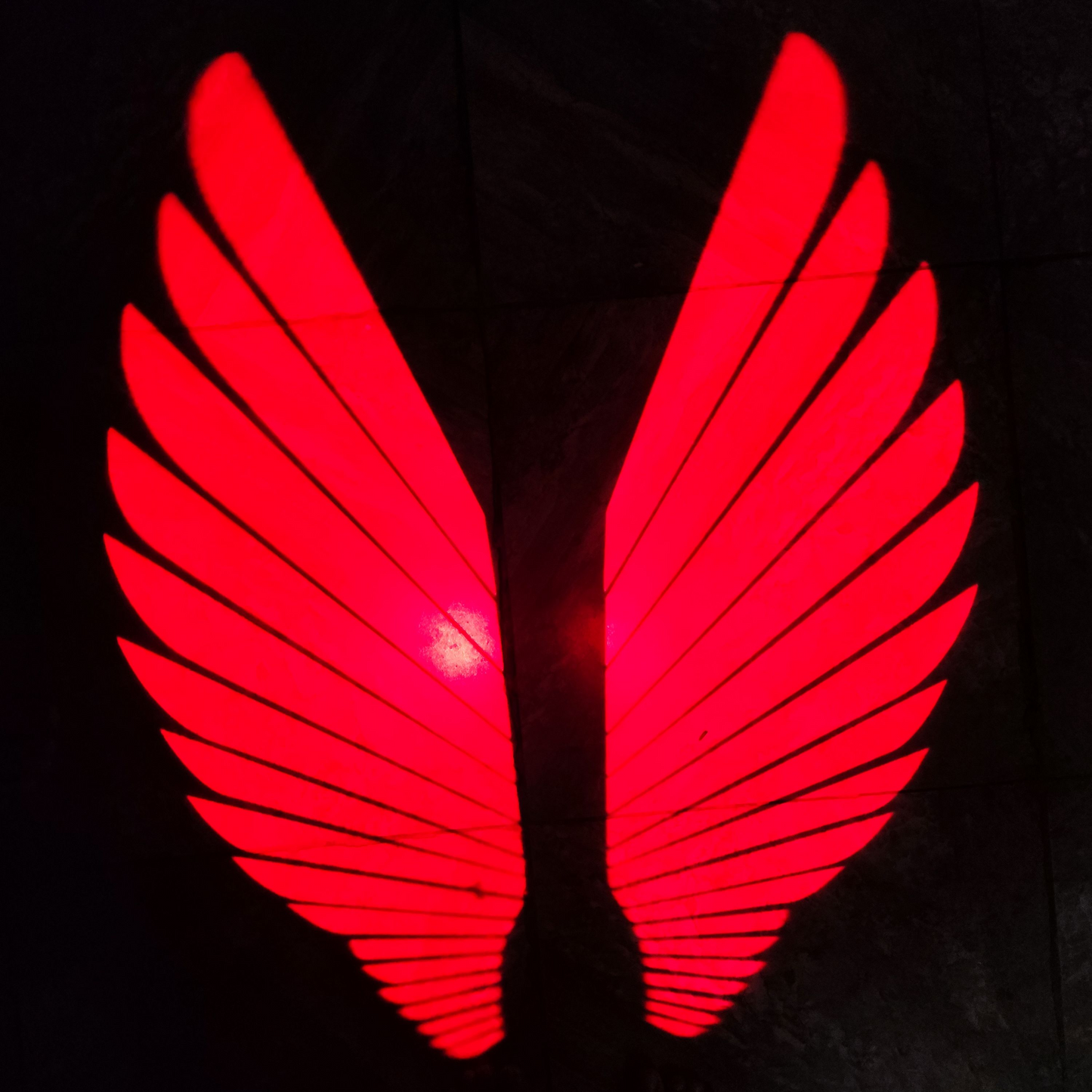 Wings Light For Bike High Quality